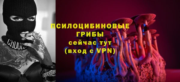 крисы Карпинск