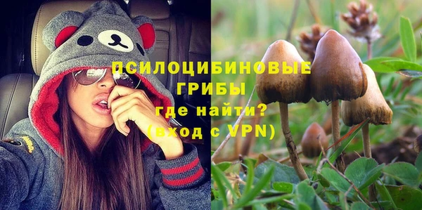 крисы Карпинск