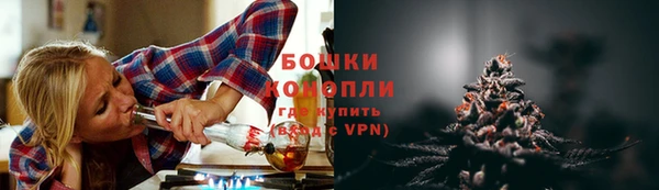 крисы Карпинск