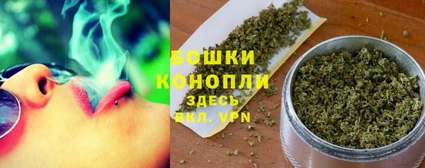 крисы Карпинск